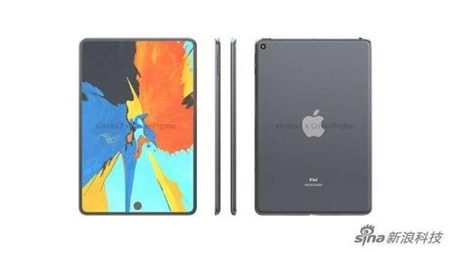 苹果ipadmini6最新消息(苹果最新款ipadmini6)
