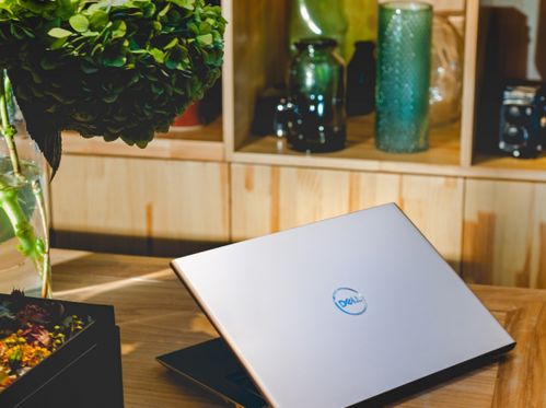 戴尔电脑笔记本报价及图片(戴尔笔记本电脑最新款2020价格)