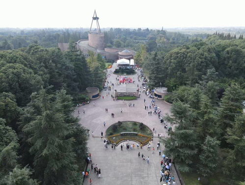 三星堆博物馆门票,三星堆博物馆门票预约