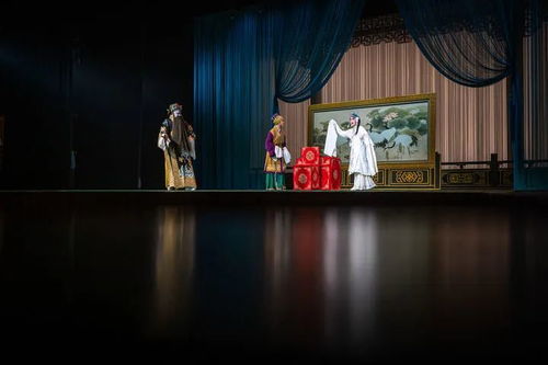 短剧鉴宝宗师，探寻艺术与文化的瑰宝