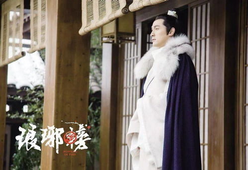 短剧女总裁的神秘神豪女婿