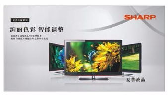 液晶电视维修点(夏普液晶电视维修点) 液晶电视维修点(夏普液晶电视维修点)