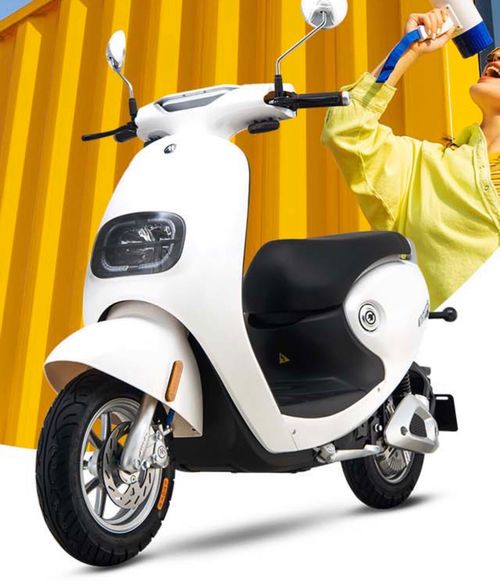 爱玛电动车价格表(爱玛电动车价格表60v小龟王)