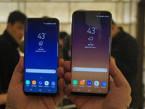 三星s8多少钱(三星s8多少钱当时)