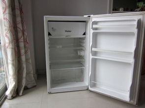 海尔小冰箱价格及图片(海尔小冰箱价格及图片及价格)