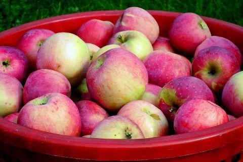 苹果7售价(苹果7售价多少钱2023)