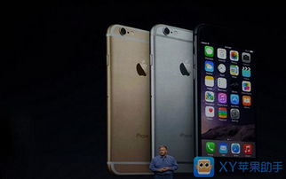 iphone6上市时间(iphone6上市时间及价格)