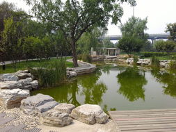 联想乐phone桌面(联想乐桌面app)