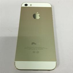 iphone5c支持4g吗(iphone5c能不能用4g)