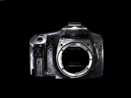 新手用数码相机还是单反(新手买什么数码相机好)