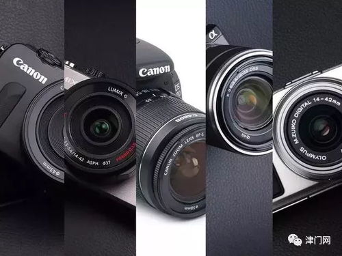 新手用数码相机还是单反(新手买什么数码相机好)