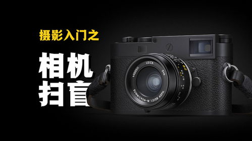 新手用数码相机还是单反(新手买什么数码相机好)