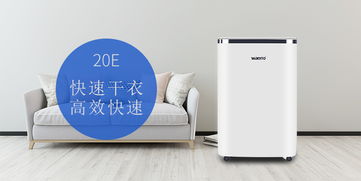 家用除湿机哪个牌子好(家用除湿机哪个牌子好,应该如何选择呢)