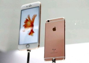 苹果6s图片(苹果6s图片大全)