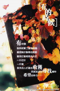 再见前任，跨越界限的婚姻故事