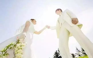 短剧换爱婚礼——90集的浪漫之旅