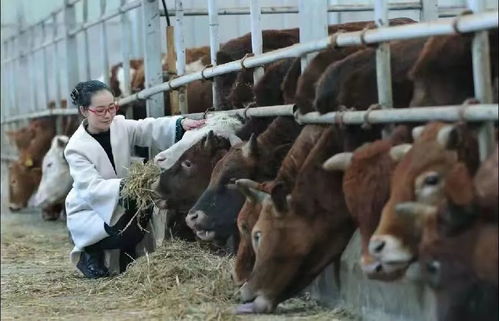 动物园的新身份，全国模范养猪基地的幽默解读