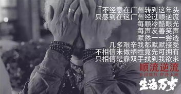 短剧心死后，我嫁给了渣男他哥（82集）