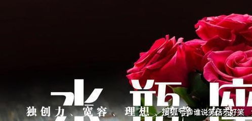 陆总,请止步,夫人已安息,短剧之百集回忆 陆总,请止步,夫人已安息,短剧之百集回忆