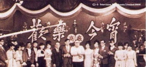 短剧第一天王，79集的辉煌之路