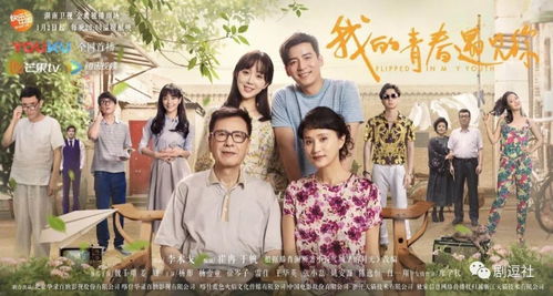 短剧爱你在尘埃里——75集的深情演绎