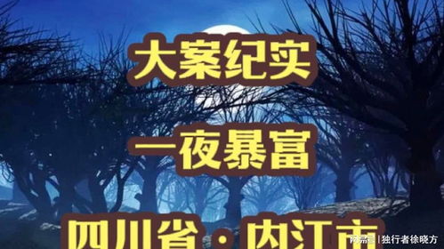 一夜暴富之梦，短剧的魅力与现实