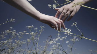 短剧爱在心头口难开的情感诠释与人生启示