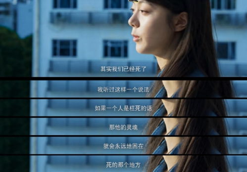 昆仑帝师，九十八集短剧的魅力与深度