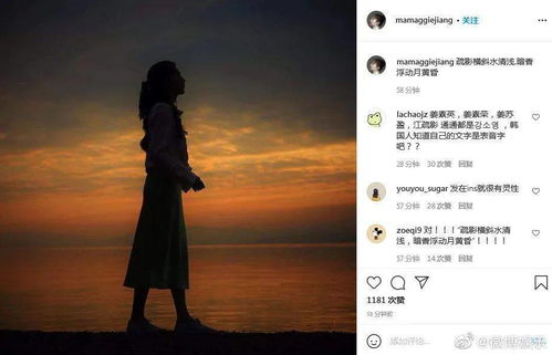 新版南风拂我意，短剧的魅力与深度解读