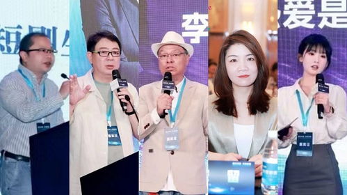 短剧大小姐的合租高手——都市合租生活的甜蜜与挑战