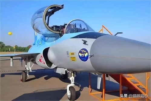 短剧枭龙无双的魅力与启示