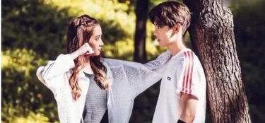 短剧隐婚霸总，甜蜜暴击的魅力之旅