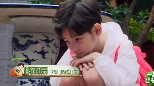 短剧萌宝小机灵,叶总求抱抱(95集) 短剧萌宝小机灵,叶总求抱抱(95集)