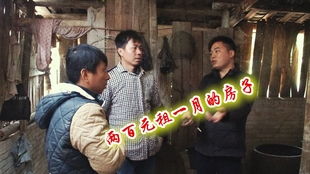 短剧我带老板去复仇