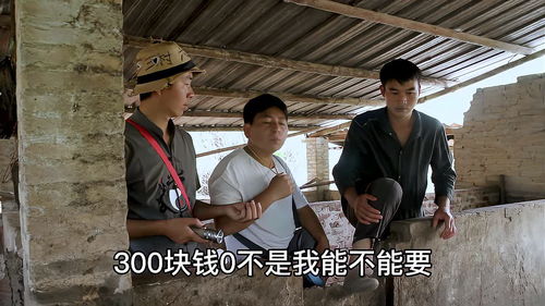 短剧我带老板去复仇