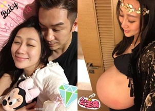 一胎双宝，老婆复仇记——86集的精彩演绎