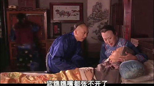 二爷夫人之智谋，短剧中的算计与命运