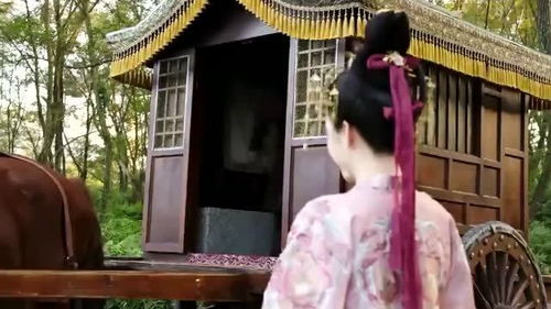 短剧郡主殿下不下嫁的背后故事与深度解读 短剧郡主殿下不下嫁的背后故事与深度解读