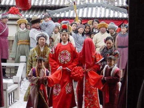 短剧婿霸天下——百集精彩纷呈