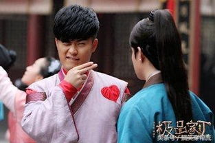 穿越之大小姐的极品家丁，一部百集短剧的魅力与影响