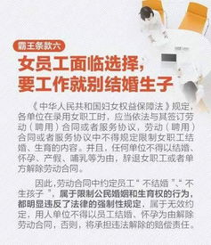 职场逍遥王——一部80集短剧的职场人生启示 职场逍遥王——一部80集短剧的职场人生启示