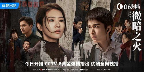 短剧离婚后洛少宠我太狂野的深度解析，从86集看情感与生活的交织