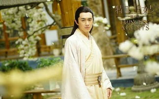 短剧重生嫡妃倾天下，百集演绎的华丽传奇