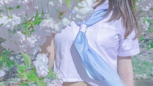 重燃爱火,百集短剧中的偏执总裁与前妻的浪漫之旅 重燃爱火,百集短剧中的偏执总裁与前妻的浪漫之旅