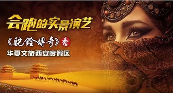 短剧长生元祖——94集的传奇之旅