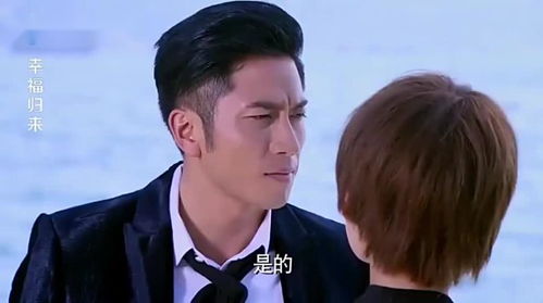 短剧夫人回来吧，总裁心痛的百集情深