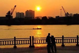 短剧半江瑟瑟半江红的魅力与深度