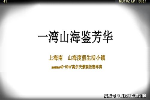 短剧我能看到万物价值的深度解析
