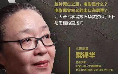 短剧新篇章，绝望的主妇全解析