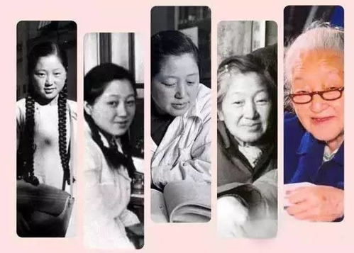 太太一身反骨,前夫跪求复合——一部81集短剧的深度解析 太太一身反骨,前夫跪求复合——一部81集短剧的深度解析